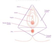 Que es el masaje perineal y cuáles son sus beneficios 1